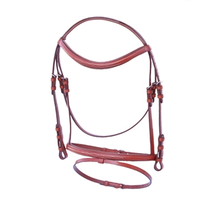 Bridle Oxford Padded