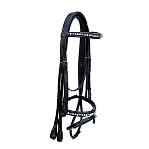 Bridle with Decorative Browband
