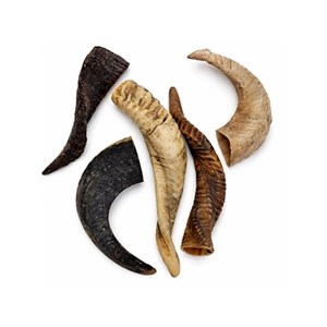 Goat Horns