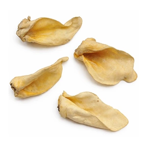 Buffalo White Ears with Ring