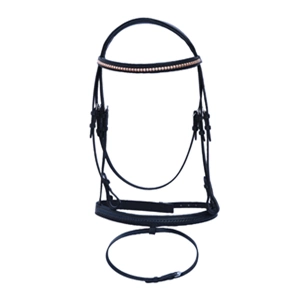 Bridle Studded Padded