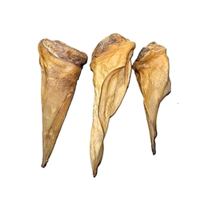 Buffalo Pointed Ears