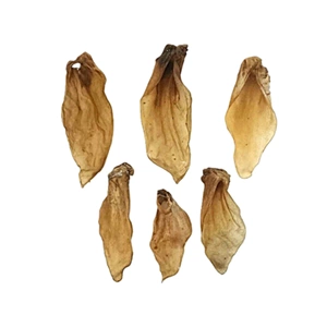 Natural Buffalo Ears with Ring